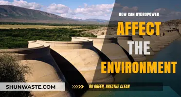 Hydropower's Environmental Impact: Benefits, Challenges, and Sustainable Solutions