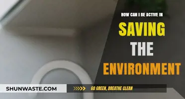 Sustainable Steps: Simple Ways to Actively Protect Our Environment Daily