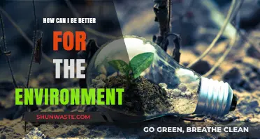 Sustainable Living: Simple Steps to Reduce Your Environmental Impact