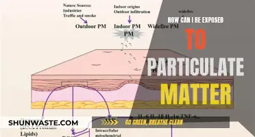 Particulate Matter: Where It's Hiding and How to Avoid It