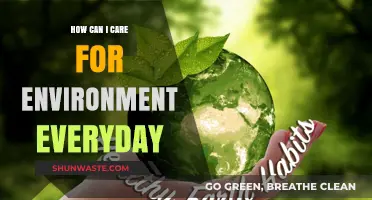 Simple Daily Habits to Protect and Preserve Our Environment