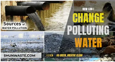 Transforming Polluted Waters: Strategies for a Cleaner Future