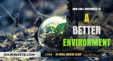 Sustainable Steps: Simple Ways to Contribute to a Greener Planet