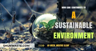 Sustainable Living: Simple Steps to Protect Our Planet and Future