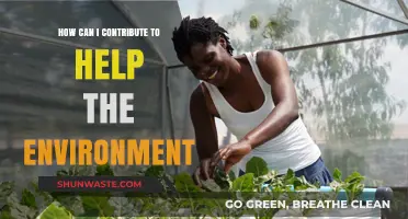 Sustainable Steps: Simple Ways to Contribute and Protect Our Environment