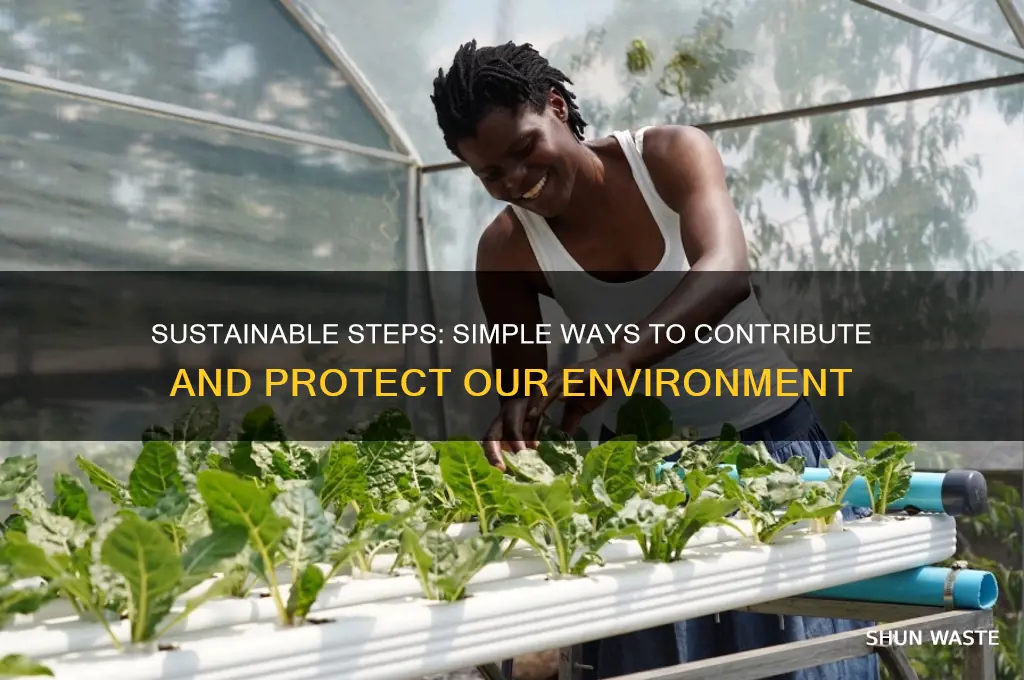 how can i contribute to help the environment