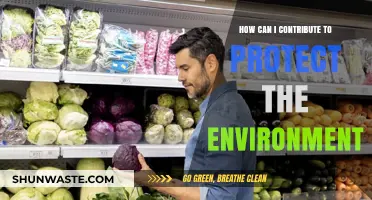Sustainable Steps: Your Guide to Protecting Our Environment Daily