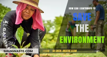Sustainable Steps: Your Guide to Protecting Our Planet Daily