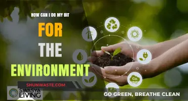 Simple Eco-Friendly Steps to Make a Positive Environmental Impact Today