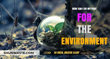 Sustainable Steps: Simple Ways to Contribute to a Greener Planet