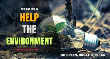 Sustainable Steps: Simple Ways to Protect and Preserve Our Planet