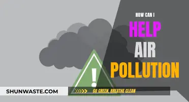 Simple Ways to Help Reduce Air Pollution