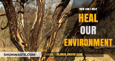 Sustainable Steps: Empowering Actions to Restore and Protect Our Environment