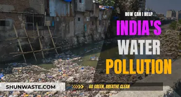 Helping India's Water Crisis: Strategies for Pollution Reduction