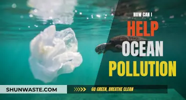 Protecting Our Oceans: Ways to Reduce Pollution