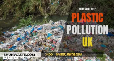 UK Plastic Pollution: Ways to Help and Make a Difference