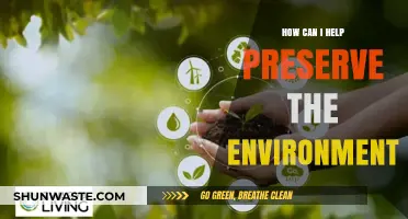 Sustainable Steps: Simple Ways to Protect and Preserve Our Environment