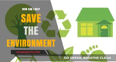 Simple Eco-Friendly Actions to Protect and Preserve Our Planet Today