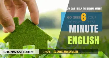 Quick Eco-Friendly Tips: 6-Minute English Guide to Help the Environment