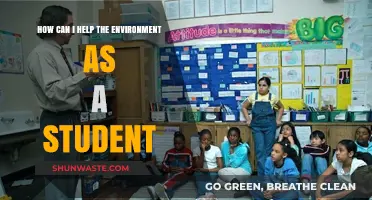 Eco-Friendly Student Guide: Simple Ways to Protect Our Planet