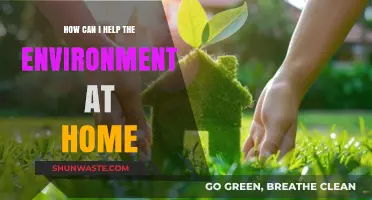 Simple Eco-Friendly Home Habits to Protect Our Planet Daily