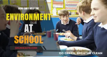 Eco-Friendly School Tips: Simple Ways Students Can Protect the Environment