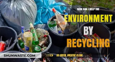 Simple Recycling Tips to Protect Our Planet and Reduce Waste