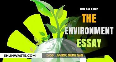 Simple Ways to Protect Our Planet: A Guide to Environmental Action