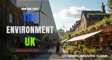Sustainable Living: Practical Ways to Protect the UK Environment