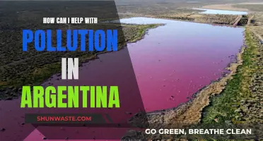 Pollution in Argentina: Ways to Help and Make a Difference