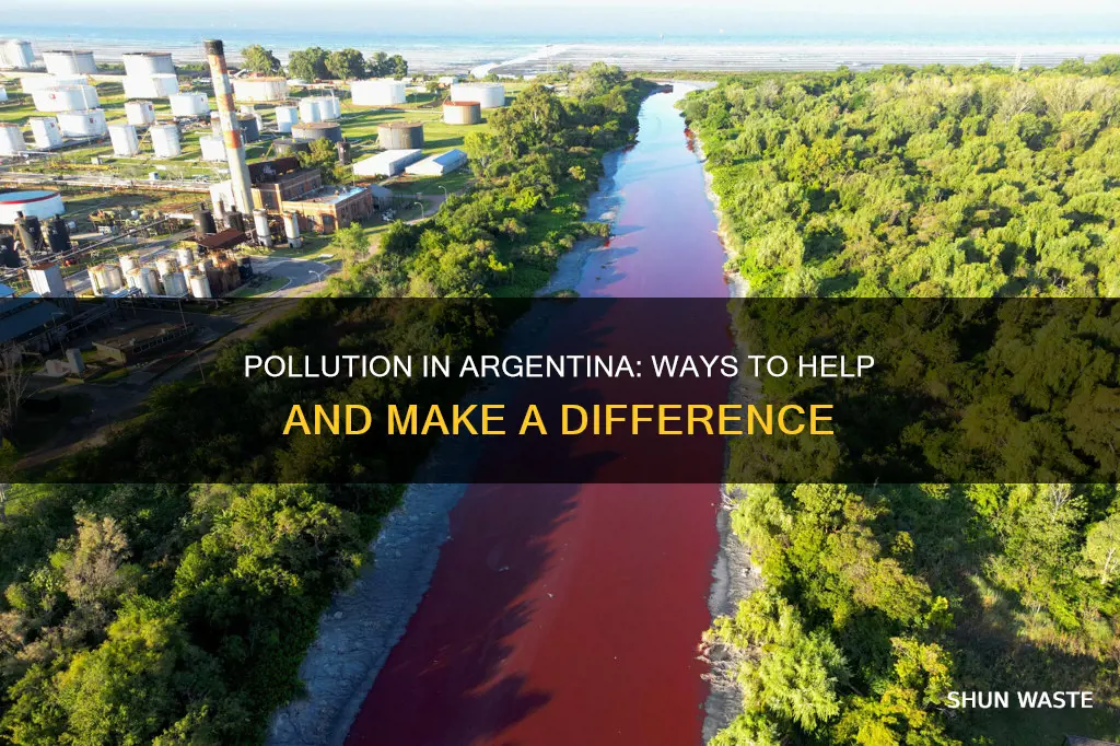 how can i help with pollution in argentina