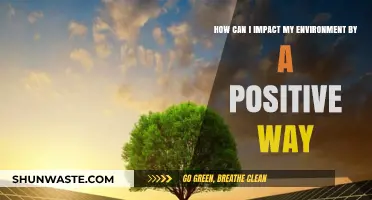 Positive Steps to Transform Your Environment and Create Lasting Change