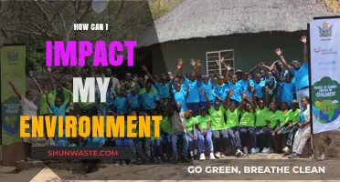 Empowering Change: Simple Actions to Transform Your Environment Effectively