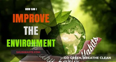 Sustainable Steps: Simple Ways to Enhance Our Environment Daily