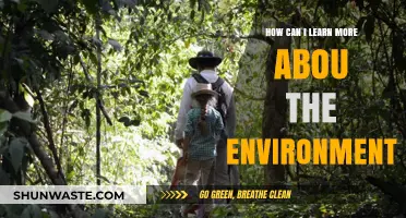 Exploring Nature: A Beginner's Guide to Learning About the Environment