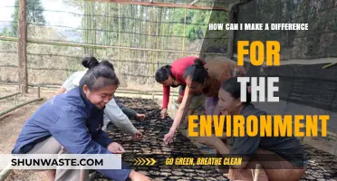 Sustainable Steps: How You Can Positively Impact the Environment Today