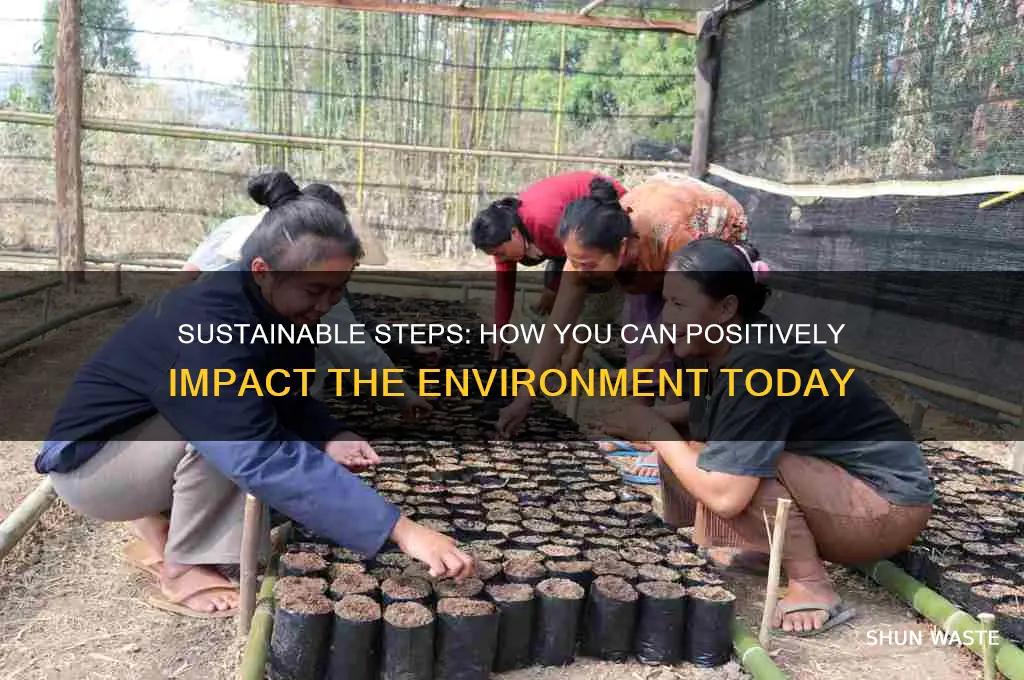 how can i make a difference for the environment