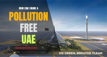 Creating a Green UAE: Pollution-Free Future for the Nation