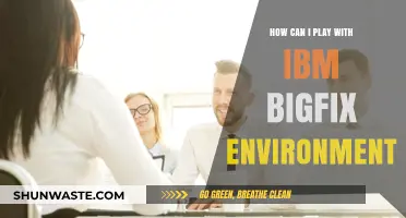 Exploring IBM BigFix: A Beginner's Guide to Playing with the Environment