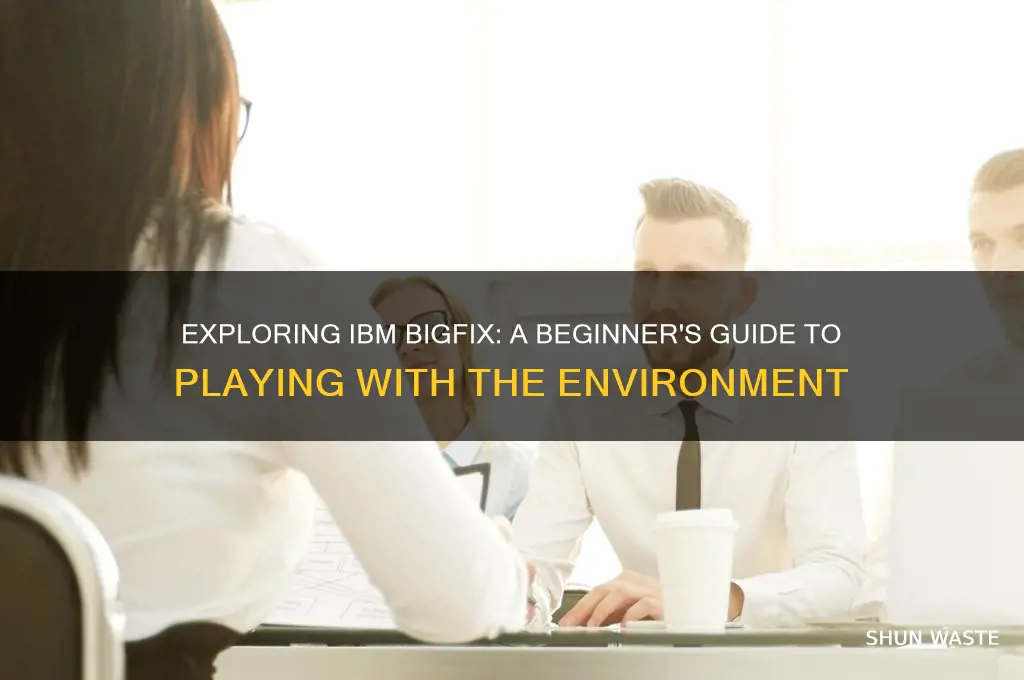how can i play with ibm bigfix environment