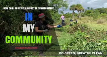 Sustainable Steps: Empowering Your Community for a Greener Tomorrow
