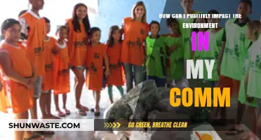 Simple Eco-Friendly Steps to Transform Your Community's Environmental Impact
