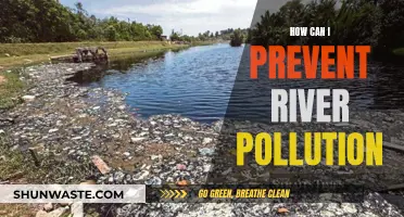 Preventing River Pollution: Strategies for a Cleaner Future