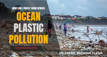 Profiting from Ocean Plastic Reduction: A Sustainable Business Opportunity