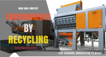 Recycling for a Greener Future: Simple Steps to Protect Our Environment
