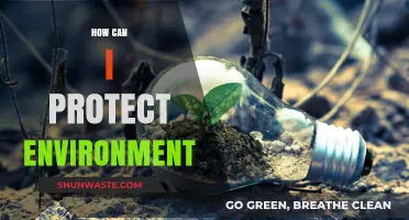 Sustainable Living: Simple Steps to Protect Our Environment Effectively