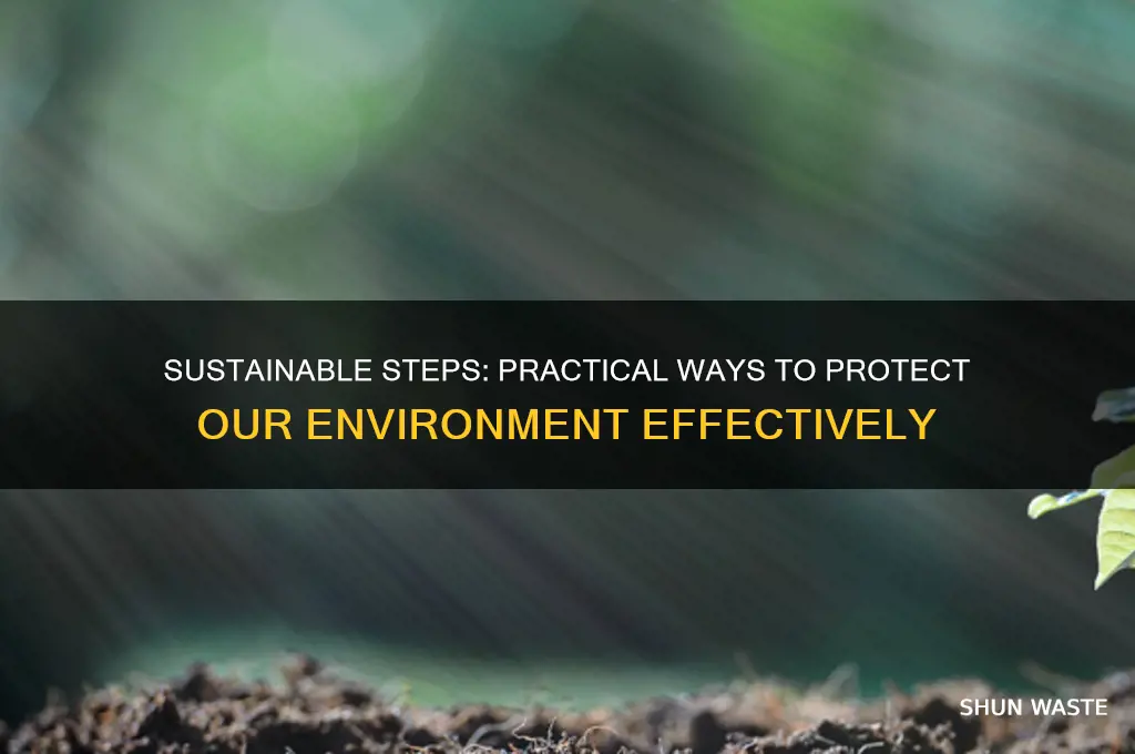 how can i protect my environment essay