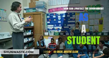 Eco-Friendly Student Guide: Simple Steps to Protect Our Planet