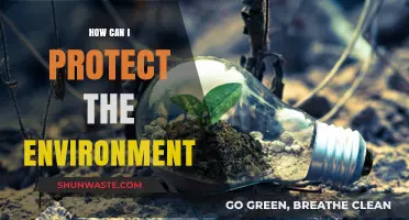 Sustainable Living: Simple Steps to Protect Our Environment Effectively