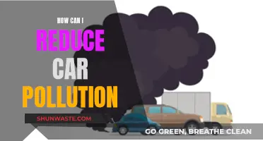 Reducing Car Pollution: Tips for a Greener Drive